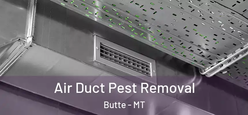 Air Duct Pest Removal Butte - MT