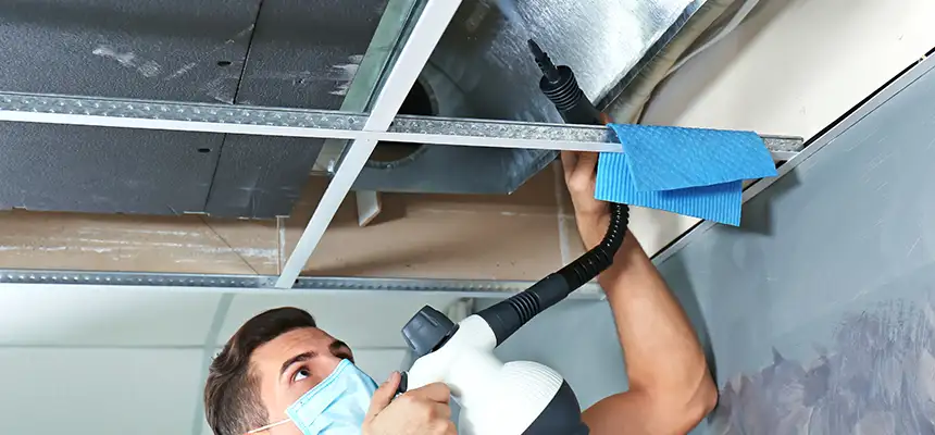 Our Air Duct Rodent Removal Services in Butte, MT