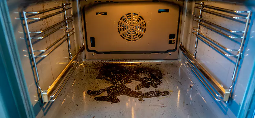 Our Dryer Vent Mold Cleaning Services in Butte, MT