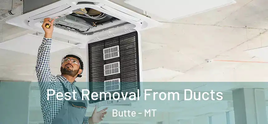  Pest Removal From Ducts Butte - MT