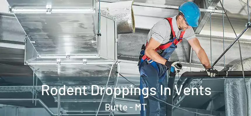  Rodent Droppings In Vents Butte - MT
