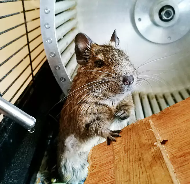 Why Homeowners & Businesses Trust Us Butte, MT