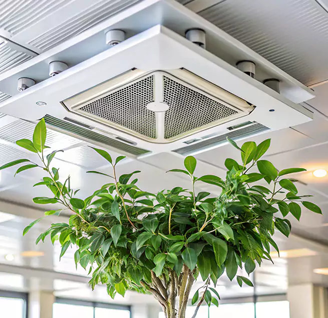 Why Homeowners & Businesses Trust Us in Butte, MT